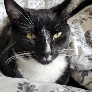 Meet your Posher, Carine